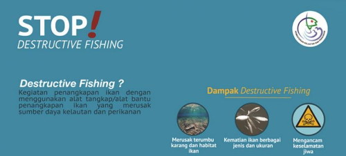 Stop Destructive Fishing