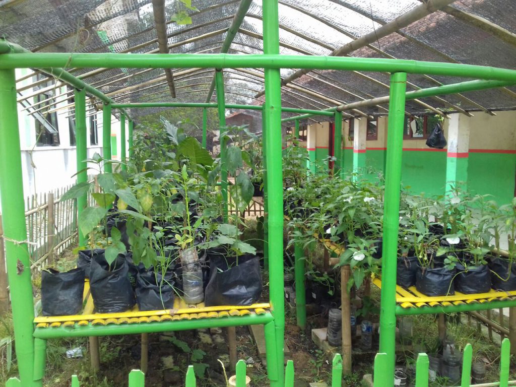 Green House SMP Negeri 1 Bojongmangu Bekasi