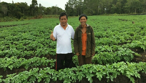 Foto: Janes Sinaga (kaos putih), KJF dari Dinas Pertanian kab.Samosir bersama petani  binaan di Perladangan Kentang Tele