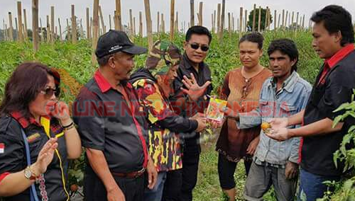 Ketua DPD PMS Karo bersama anggota meninjau lokasi pertanian warga