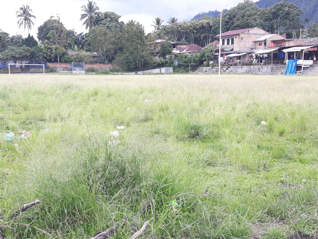 Foto : Kondisi Tanah Lapang Ambarita kecamatan Simanindo Samosir, yang mana rumput nya sudah meninggi melewati betis orang dewasa, sehingga terlihat bagaikan rimba, Selasa (13/11)