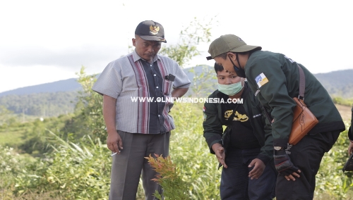 Ket foto : Kepala Desa Pertibi Tembe Janner Munte (pakai topi) saat ikut menanam pohon bersama Mahasiswa UIN-SU