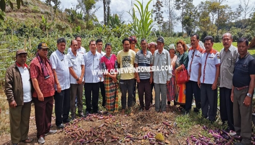 Ket foto : Bupati Karo Terkelin Brahmana meninjau lahan tanah milik warga Desa Kuta Tengah Tiarma Ginting untuk dibangun sekolah SD didampingi sejumlah OPD di Desa Kuta Tengah Kec . Simpang Empat Kabupaten Karo, Rabu (28/08) 2019 (Ist. Dok)