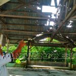 Kepala Desa Tiga Pancur saat menunjukkan atap Seng Jambur (pendopo) Desa hancur dan tidak layak untuk di gunakan, Minggu (29/09) 2019 (Dok)