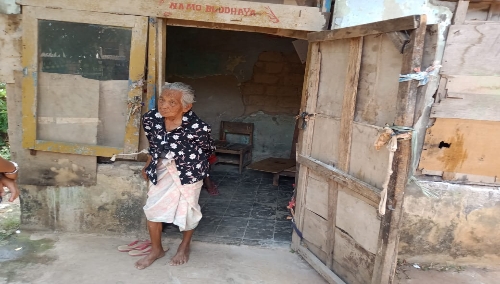 Ket foto. Nenek bernama Teng Pit Neo beserta rumah gubug tidak layak huni.