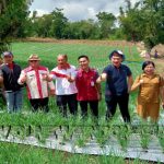 Kepala Perhiptani, para Penyuluh Pertanian dan produsen benih dan pupuk di lokasi pengembangan veritas Bawang Merah jenis "Lansuna"
