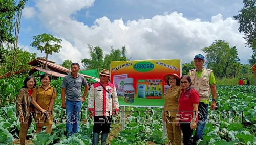 Kepala PERHIPTANI, Kepala UPT Pertanian Tompaso, di lokasi  Kol veritas unggul "Rejo"