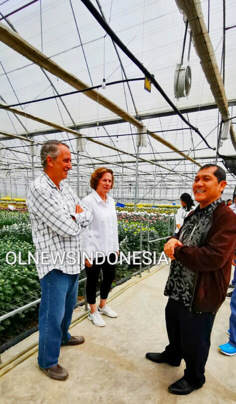 Ket foto  : Bupati Karo Terkelin Brahmana saat Berbincang bincang dengan pengusaha Bunga Krisan dari Belanda di Lokasi Green House nya di Desa Merek Kecamatan Merek Kabupaten Karo, Jumat(07/02) 2020 (Ist)