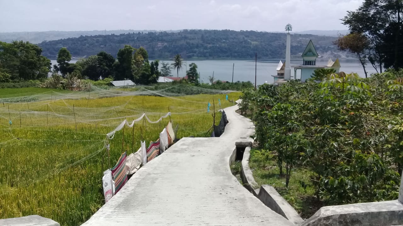 Foto : terlihat pembangunan infrastruktur jalan jalan desa hampir terlihat 90% sudah di rabat beton. Selain infrakstruktur, TPT, saluran irigasi juga terlihat tertata rapi, sehingga persawahan masyrakat pun dapat dialiran air dengan baik. Selain itu juga terlihat akses menuju kantor desa Dolok Raja, sudah dapat di lalui kendaraan roda dua.