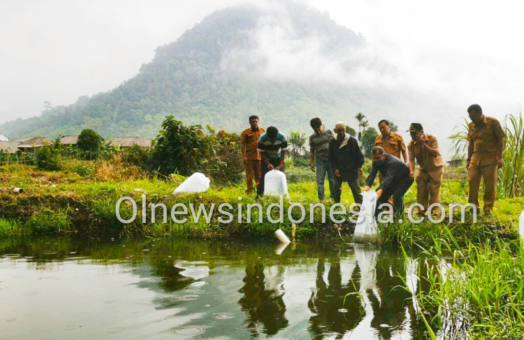 Ket foto  : Bupati Karo Terkelin Brahmana SH saat menabur bibit ikan Nila di kolam Kelompok Tani Desa Doulu Berastagi, Selasa (28/04) 2020 (Ist)