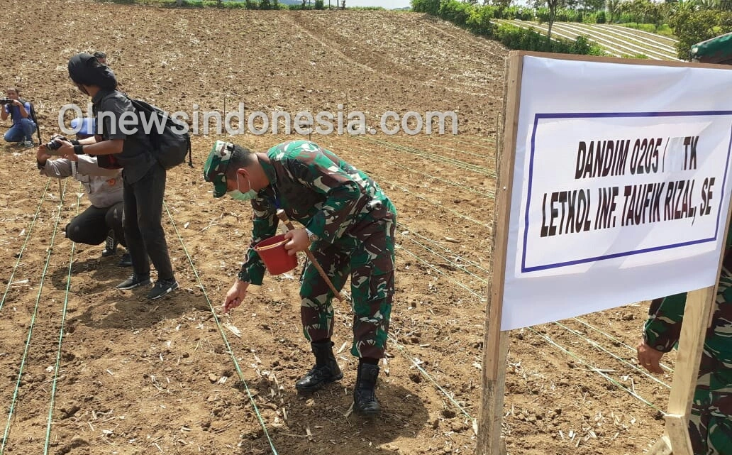 Ket foto : tampak Dandim 0205 /TK Letkol Inf Taufik Rizal SE menanam Bibit Jagung di Desa Simolap Kecamatan Tigabinanga Kabupaten Karo, Jumat (19/06) 2020 (Ist)