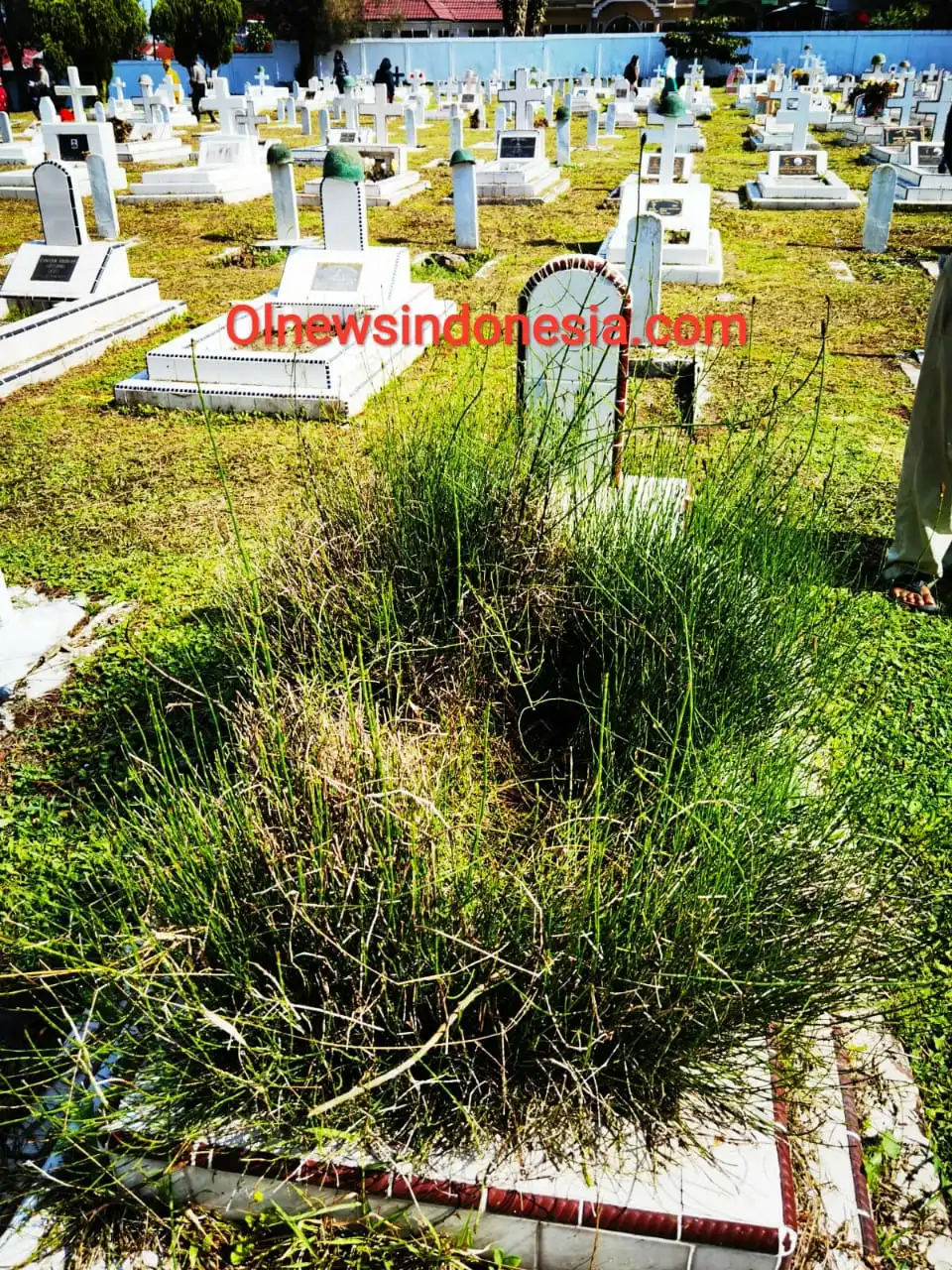 Ket foto : Tampak salah satu kuburan Pejuang dimakan Pahlawan Kabanjahe yang ditumbuhi semak belukar, Jum'at (09/04) 2021 (Ist)